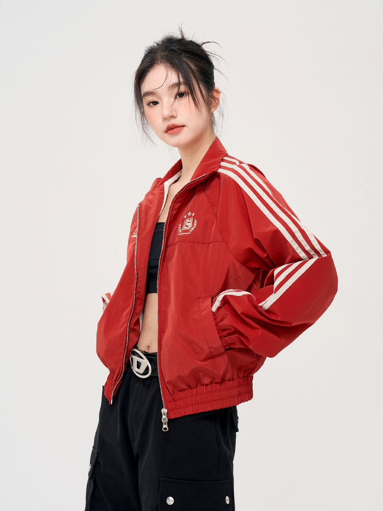 Striped Sleeve Stand Collar Zip Jacket / Gray / M